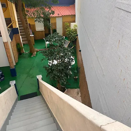 Patio79 阿威罗